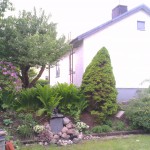 IMAG0607